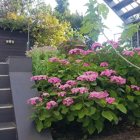 Cologne North Διαμέρισμα Dormagen