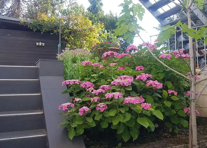 Cologne North 公寓 多尔马根